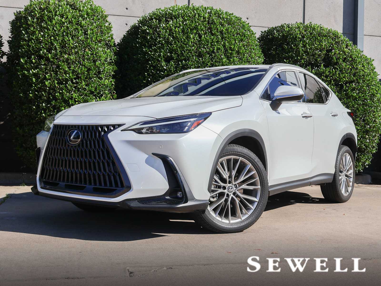 2022 Lexus NX Hybrid 350h's photo