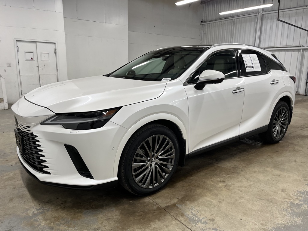 2023 Lexus RX 350 Luxury photo 3