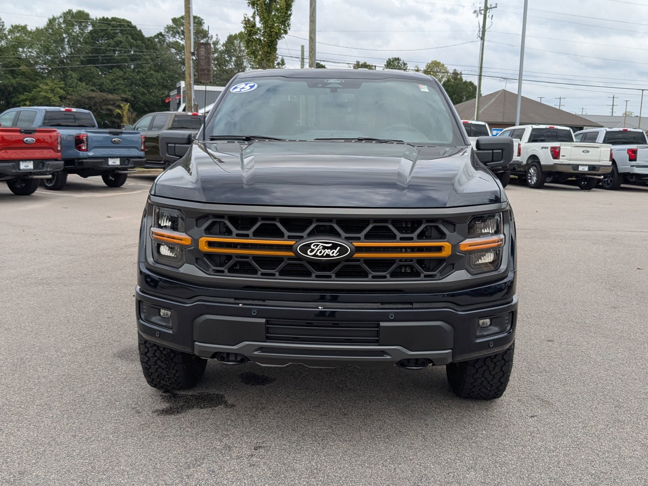 2025 Ford F-150 Tremor photo 2