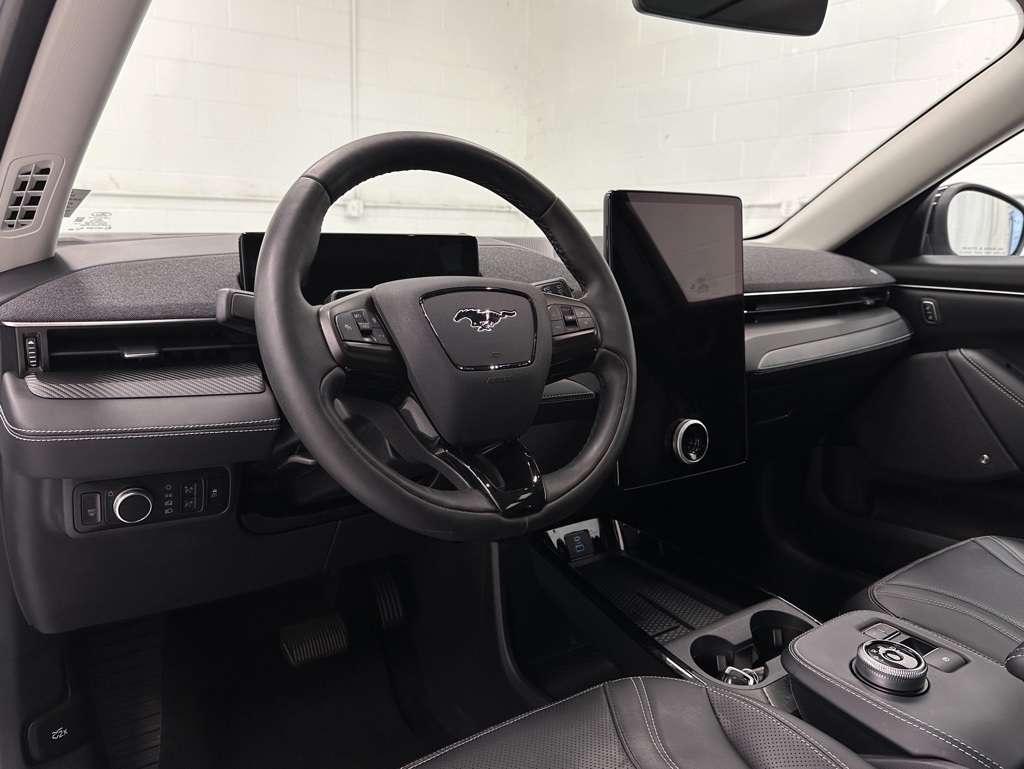 2022 Ford Mustang Mach-E Premium photo 10