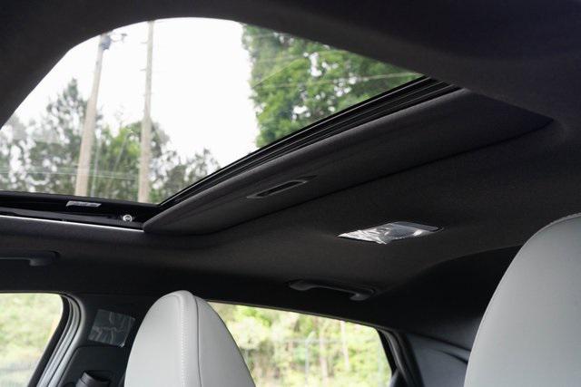2025 Hyundai Elantra Hybrid Limited photo 4