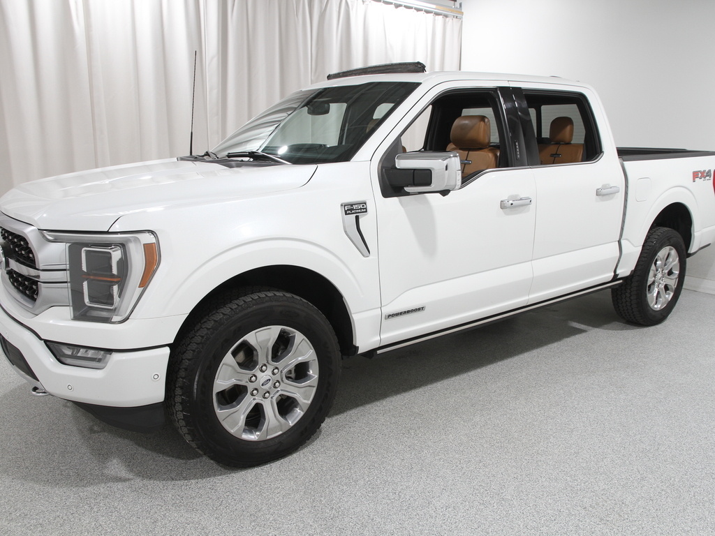 2021 Ford F-150 Platinum photo 3