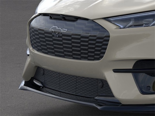 2025 Ford Mustang Mach-E GT photo 11