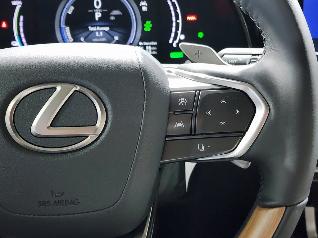 2025 Lexus RX 450h+ Luxury photo 17