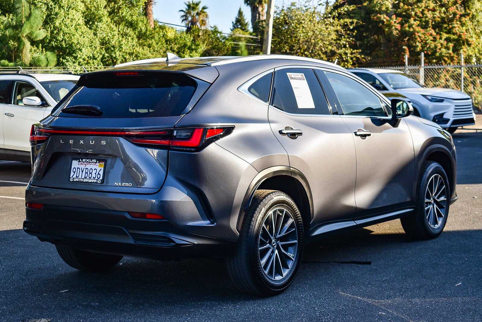 2023 Lexus NX 250 photo 3