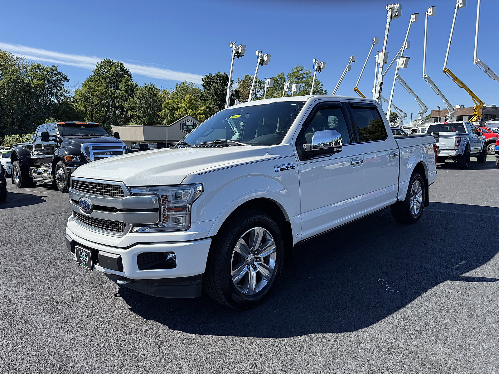 2020 Ford F-150 Platinum photo 6