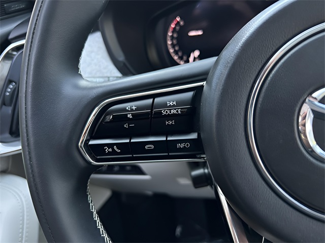 2025 Mazda CX-90 3.3 Turbo Premium Plus photo 12