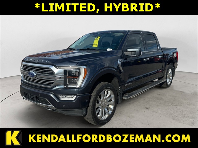 2021 Ford F-150 Limited's photo