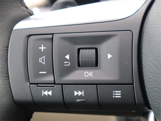 2025 Infiniti QX60 Luxe photo 31