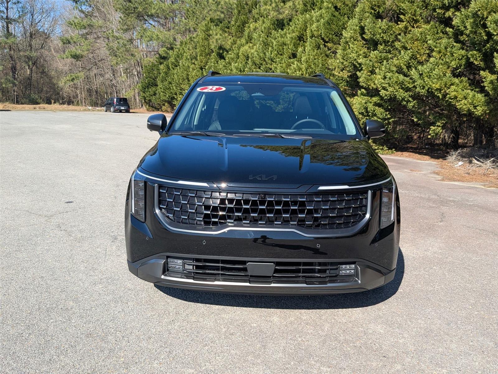 2025 Kia Carnival SX Prestige photo 4