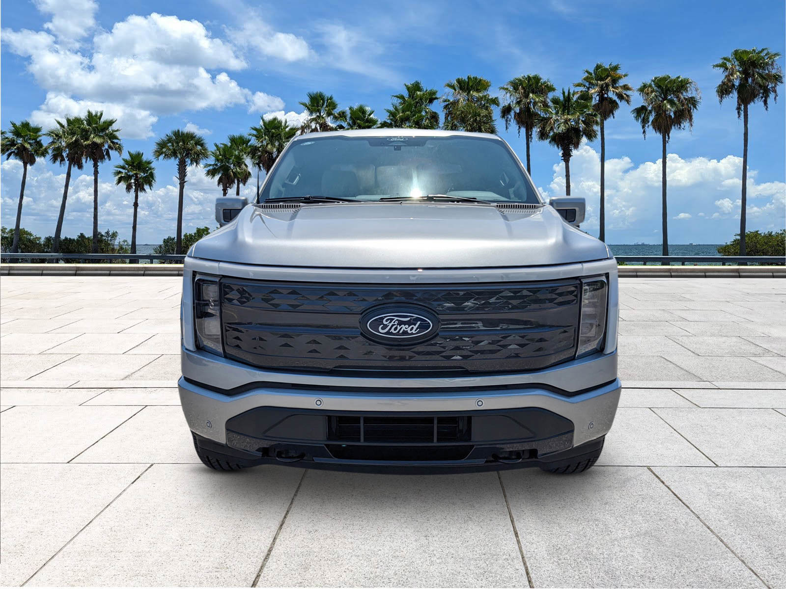 2025 Ford F-150 Lightning Platinum photo 3