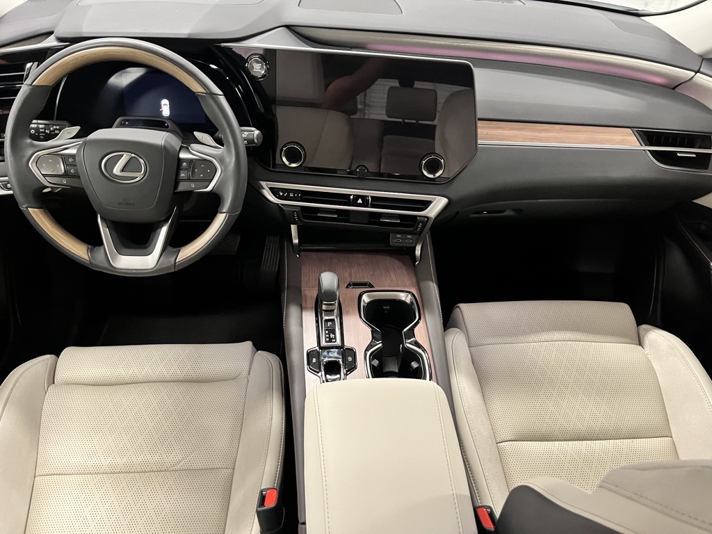 2023 Lexus RX 350 Luxury photo 10