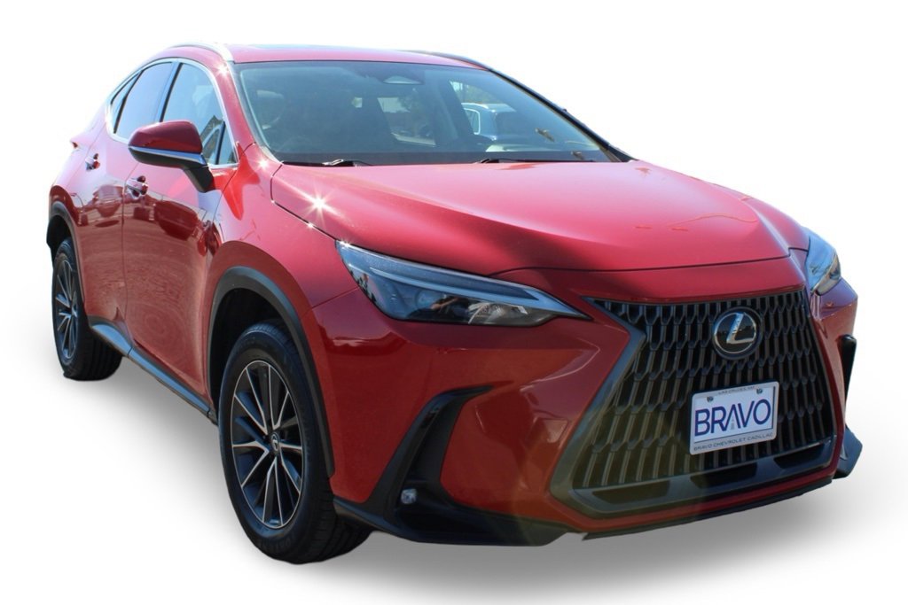2024 Lexus NX 350 photo 2