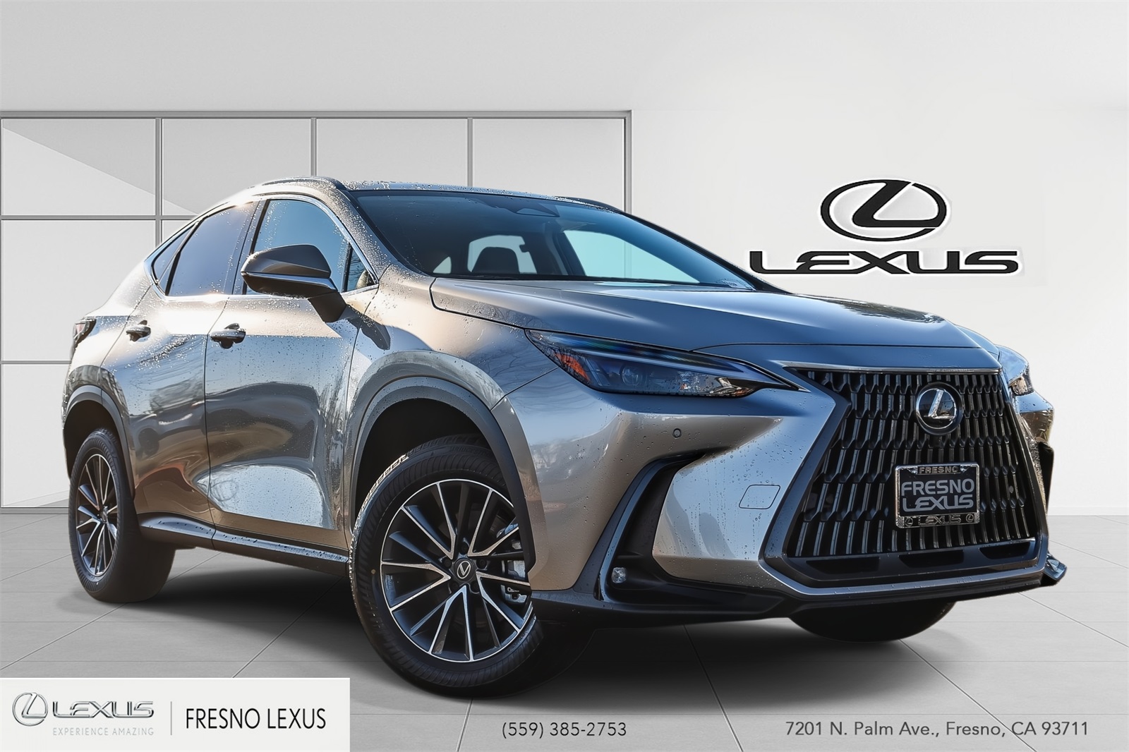 2026 Lexus NX Base's photo