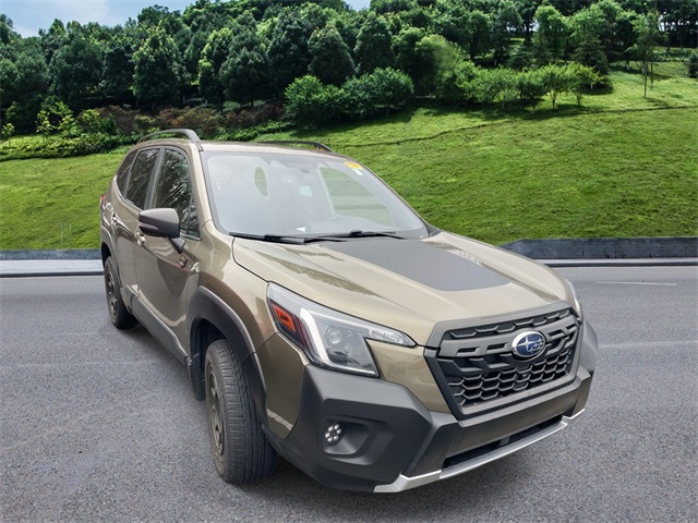 2023 Subaru Forester Wilderness's photo