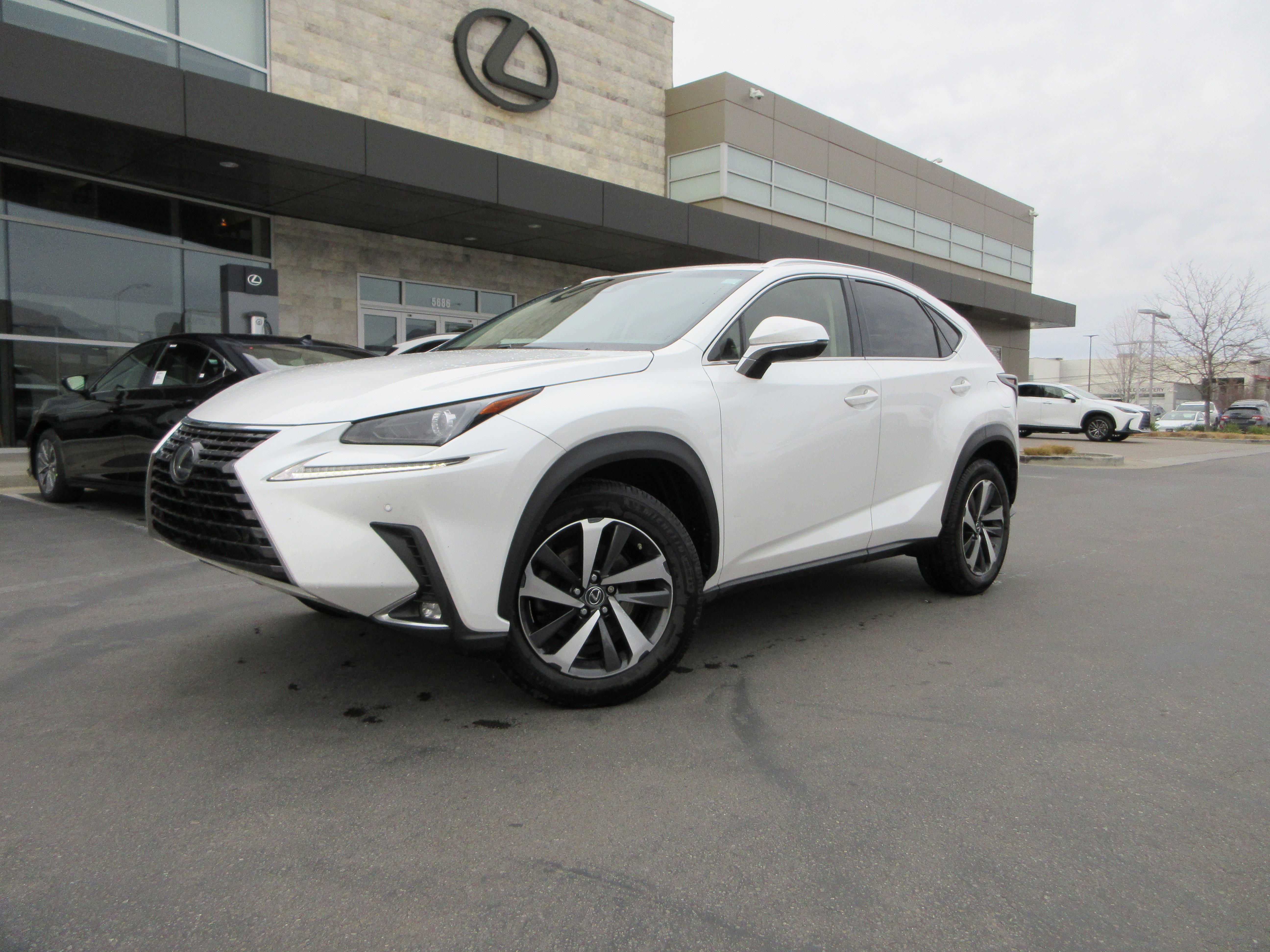 2018 Lexus NX 300's photo