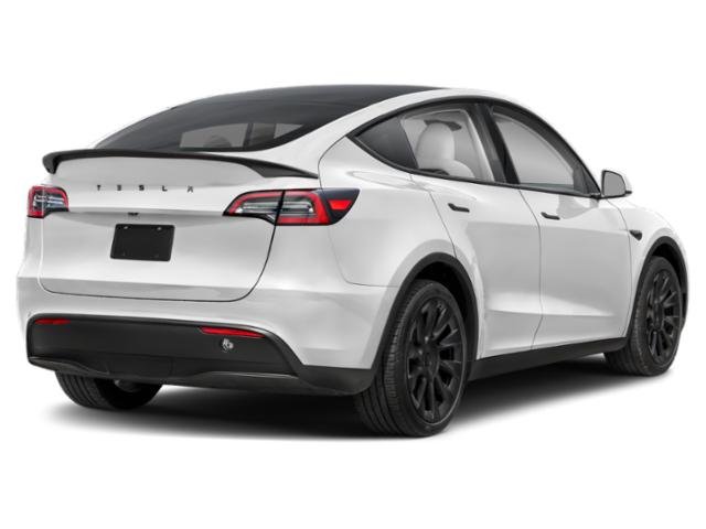 Used 2025 Tesla Model Y Long Range with VIN 7SAYGDED6SA353753 for sale in Northfield, Minnesota