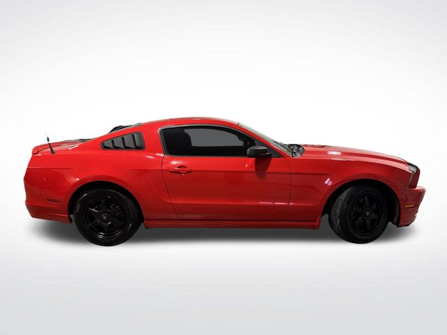 2013 Ford Mustang V6 photo 2