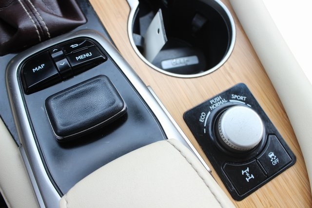 2019 Lexus RX 350L photo 10