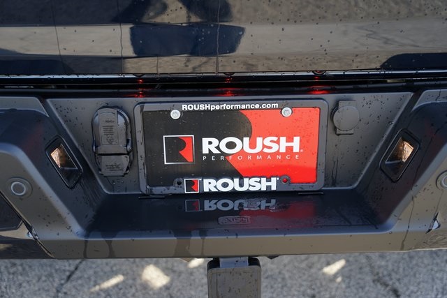 2025 FORD F-150 - Image 29