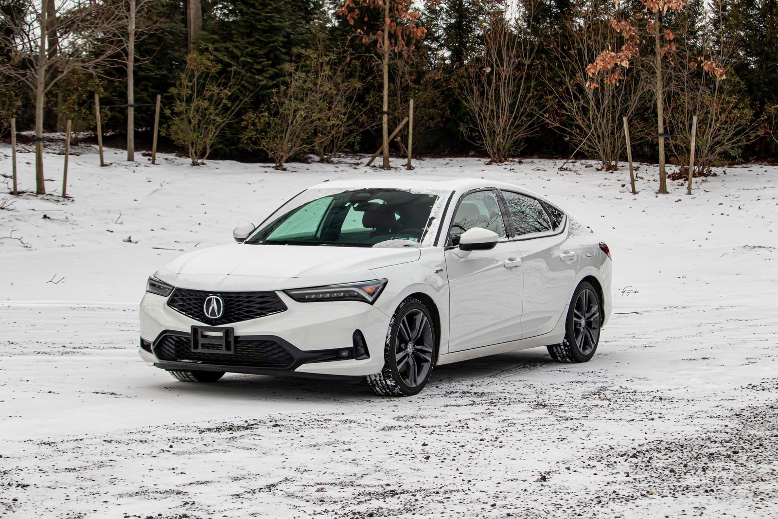 2023 Acura Integra A-Spec's photo