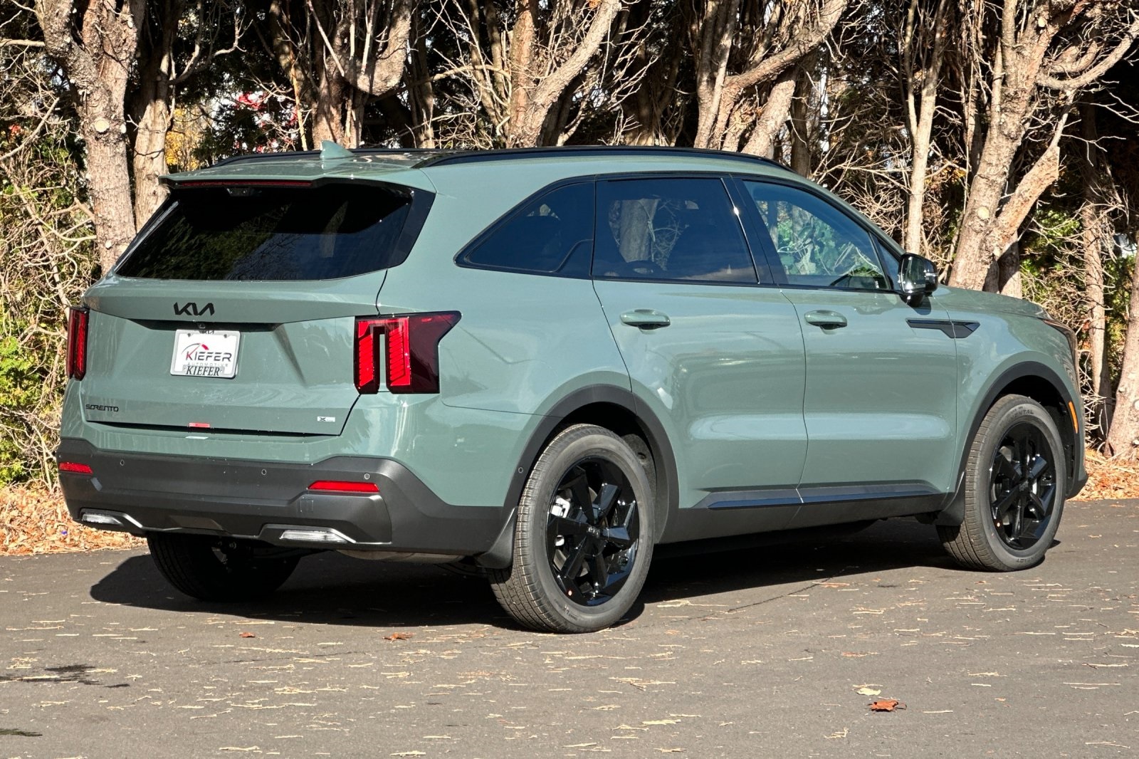 2026 Kia Sorento Hybrid X-Line SX Prestige photo 3