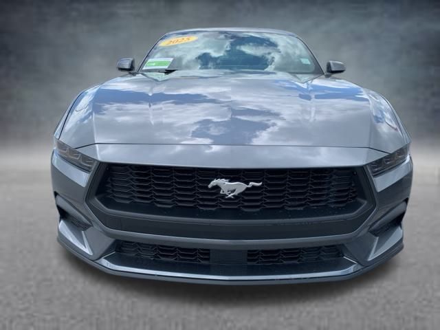 2025 Ford Mustang EcoBoost Premium photo 2