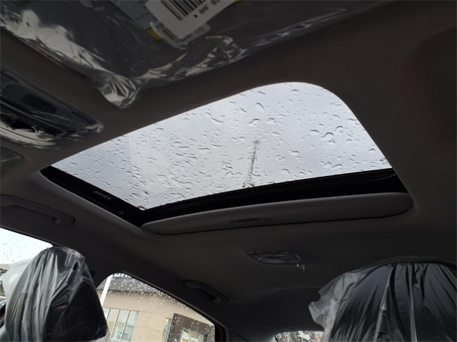 2025 Hyundai Elantra SEL Convenience photo 6