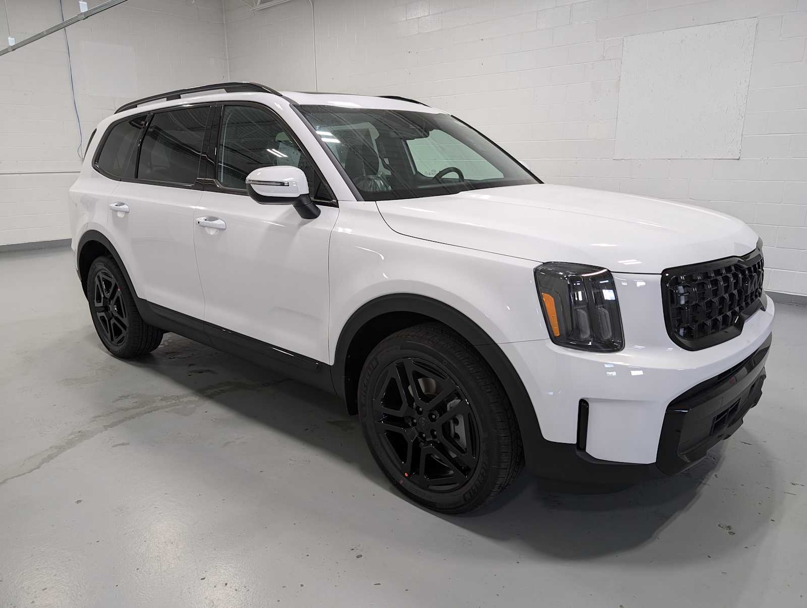 2025 Kia Telluride EX X-Line photo 6