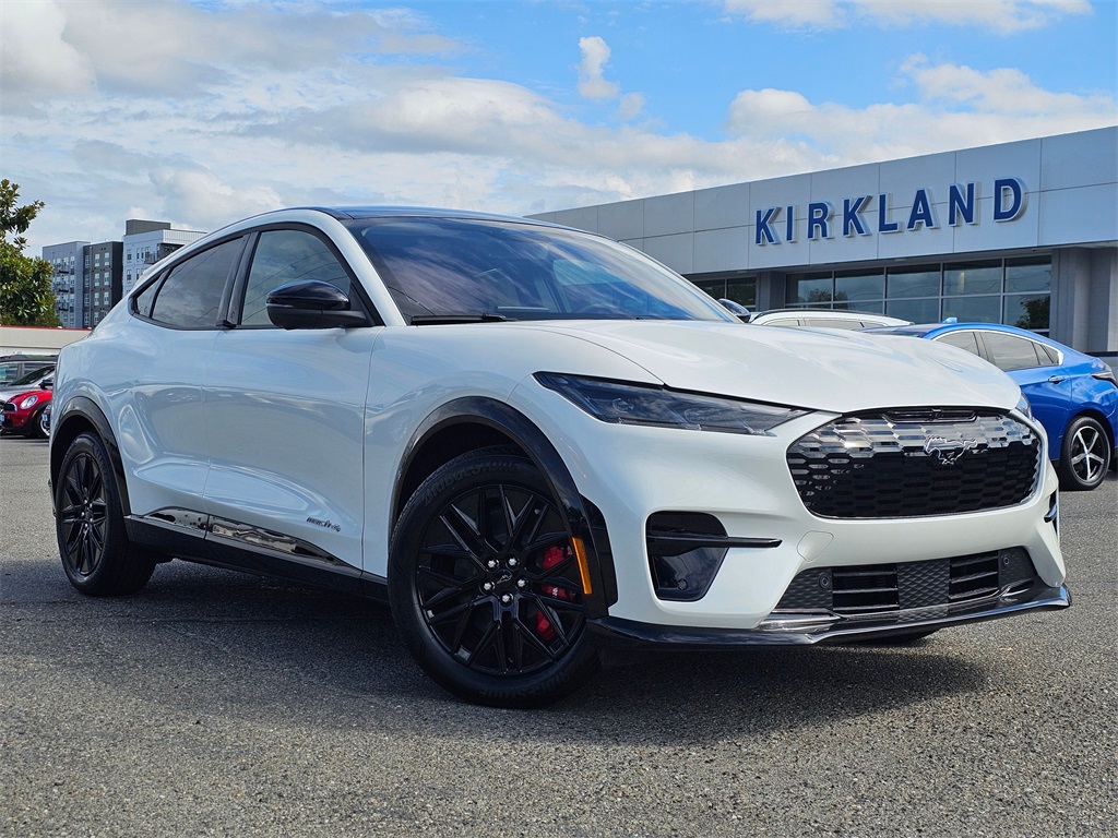 2025 Ford Mustang Mach-E Premium AWD's photo