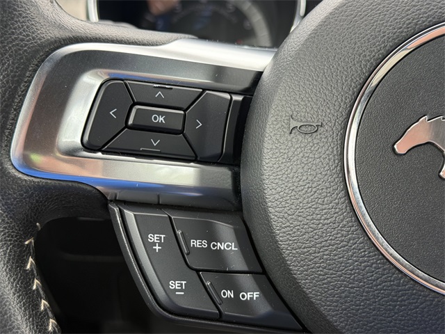 2015 Ford Mustang GT 50th Anniversary Edition photo 15