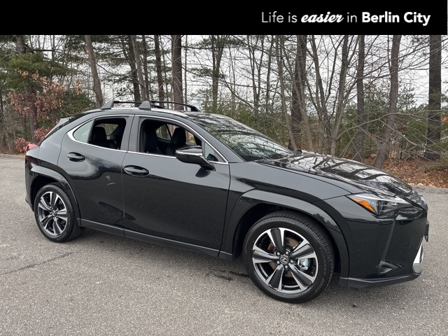2025 Lexus UX Hybrid 300h Premium's photo