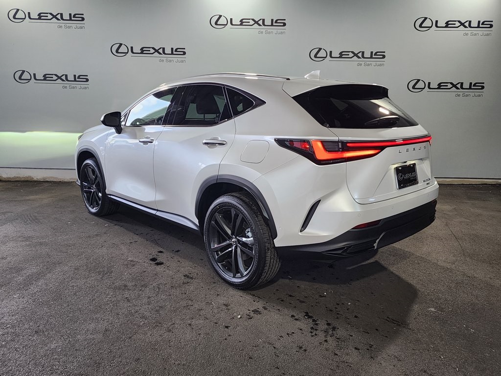 2025 Lexus NX 350h Premium AWD photo 8