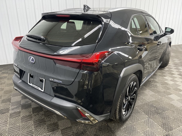 2020 Lexus UX 250h F SPORT Premium photo 4