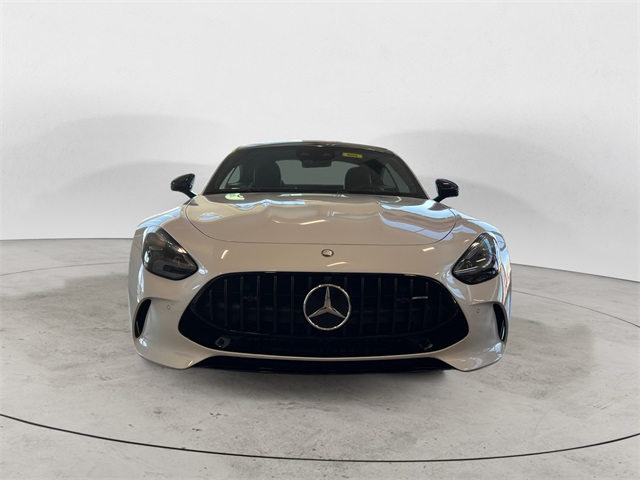 2025 Mercedes Benz AMG GT 63 photo 8