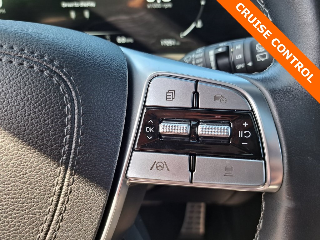 2025 Kia Telluride SX X-Line photo 10