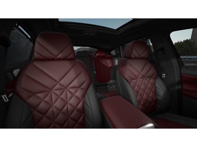 2026 Bmw X6 M photo 9