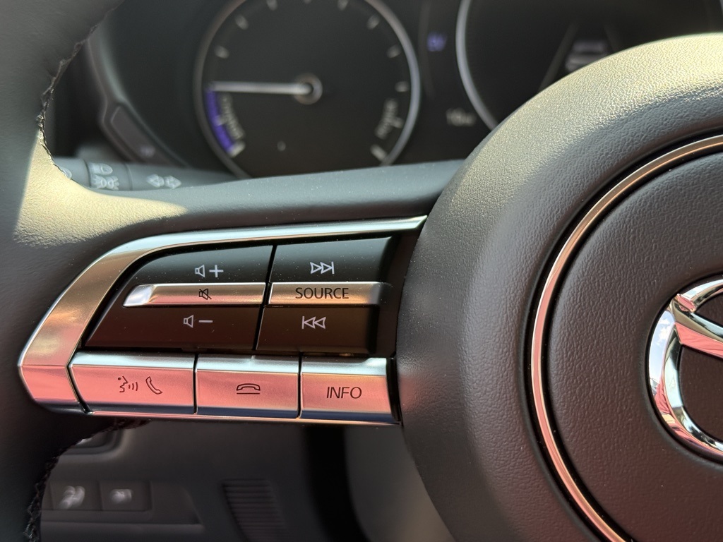 2025 Mazda CX-50 Premium Plus photo 14