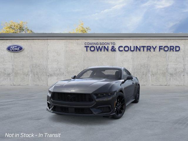 2025 Ford Mustang EcoBoost photo 12