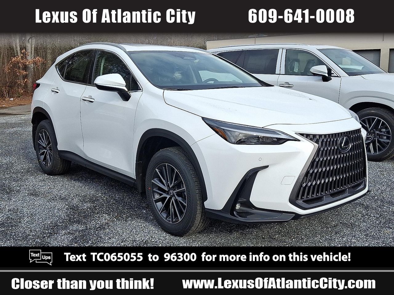 2026 Lexus NX Hybrid 350h's photo