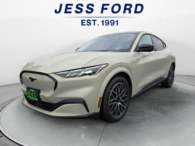 2025 Ford Mustang Mach-E Premium AWD's photo