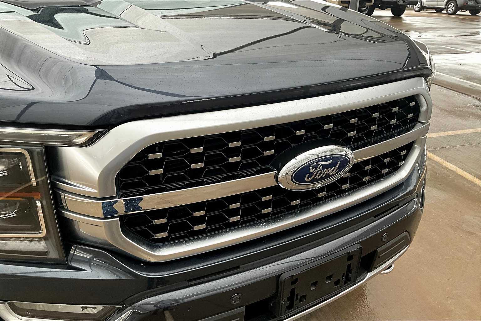 2021 Ford F-150 Platinum photo 25