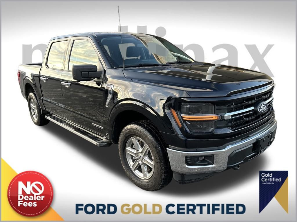 2024 Ford F-150 XLT's photo