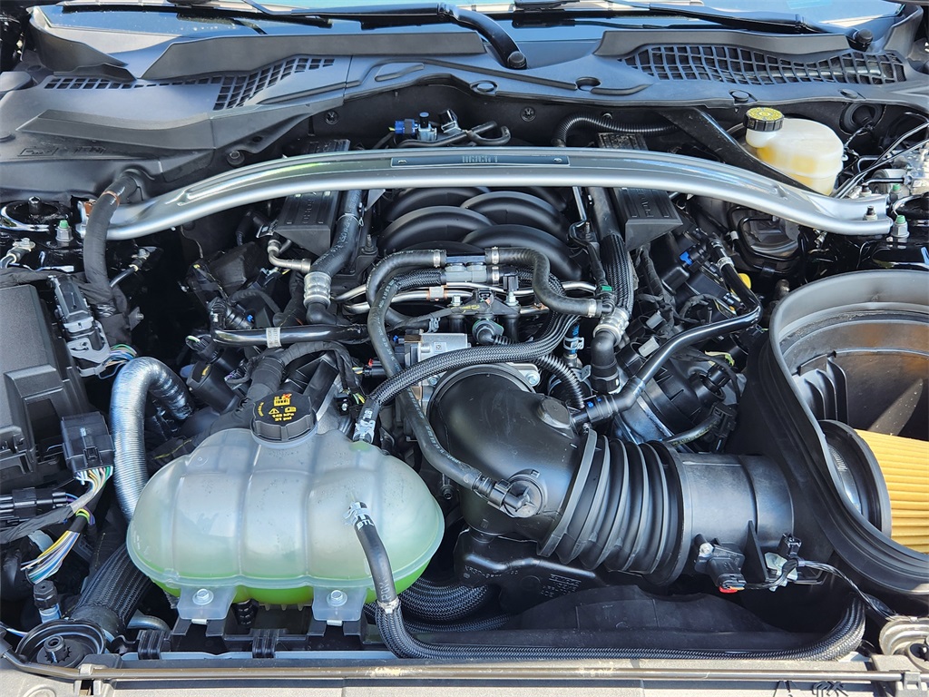 2021 Ford Mustang Mach 1 photo 18