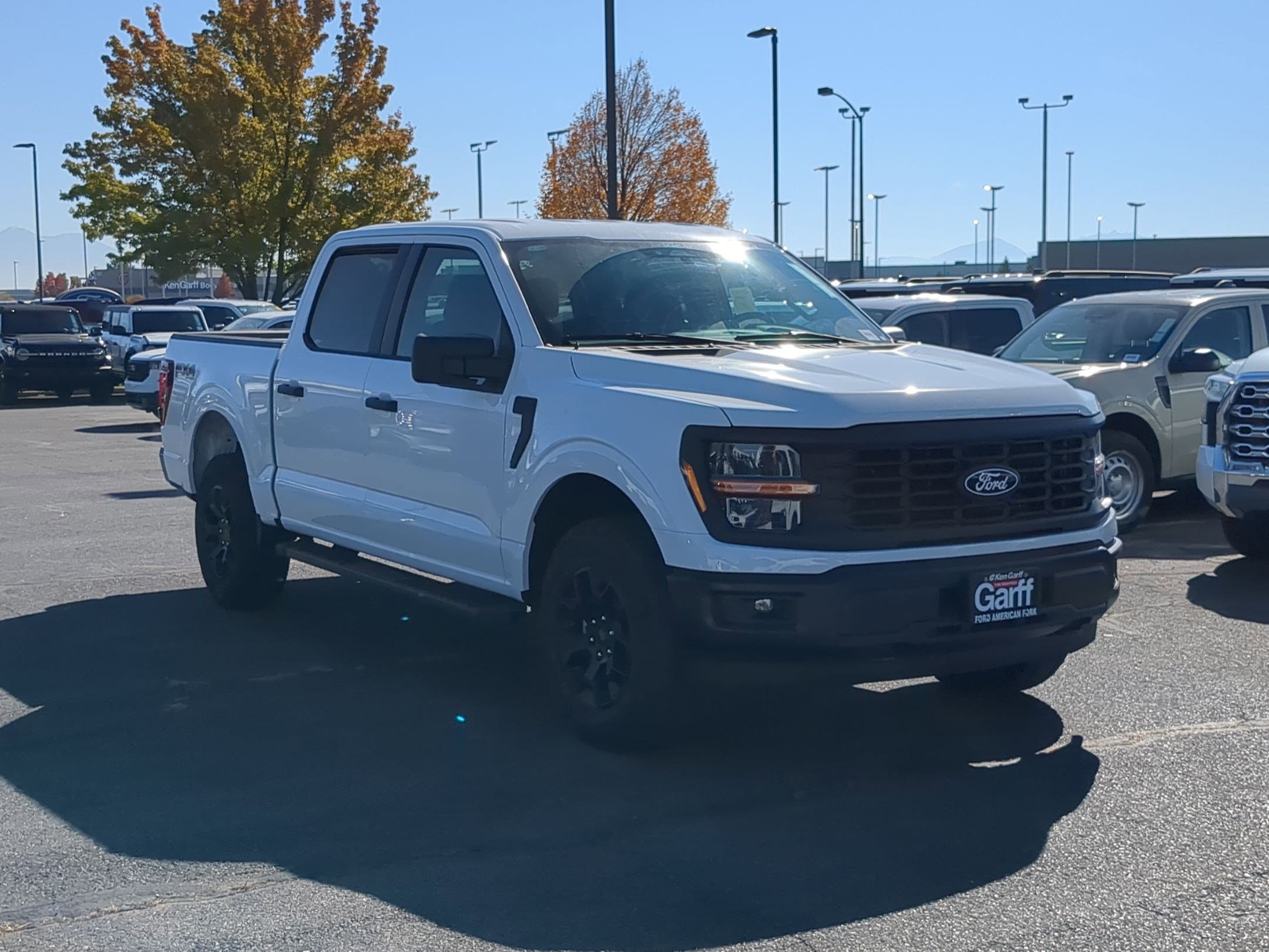 2025 Ford F-150 STX's photo