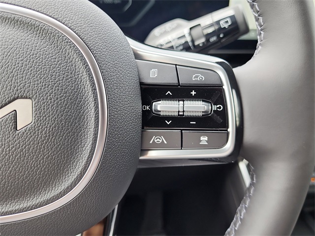 2026 Kia Carnival SX Prestige photo 19