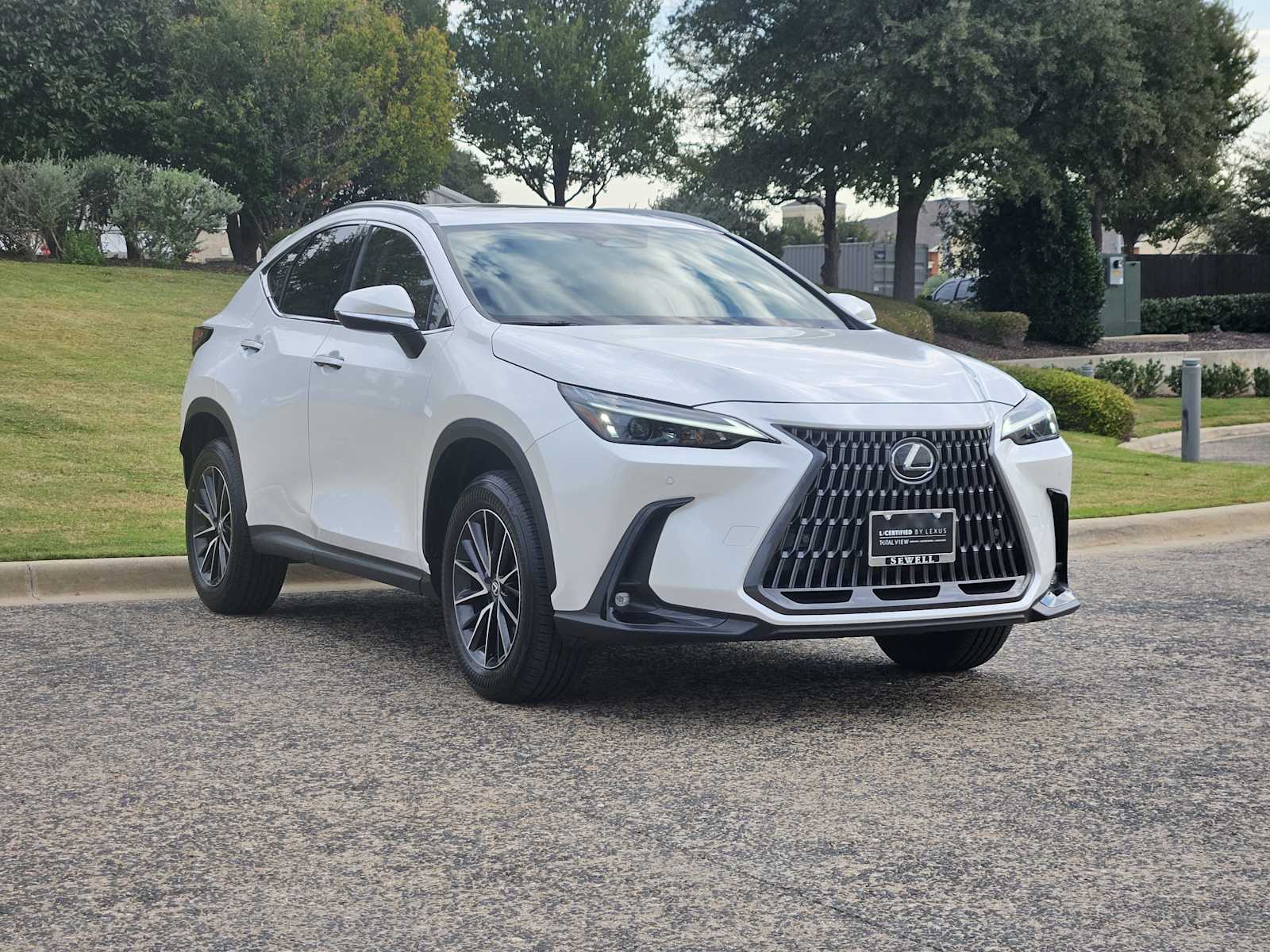 2024 Lexus NX 250 Premium photo 2