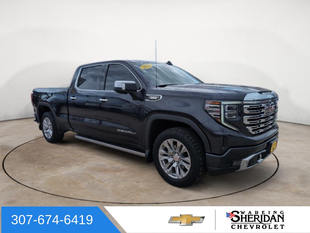 2023 GMC Sierra 1500 Denali Denali's photo