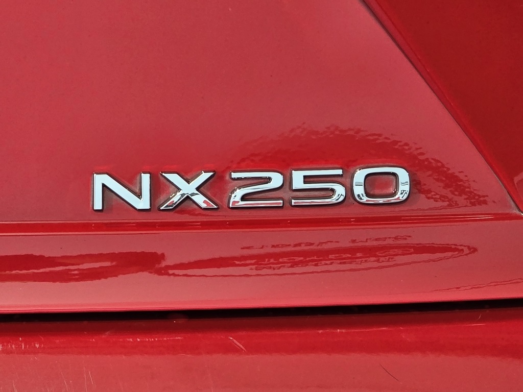 2023 Lexus NX 250 photo 11