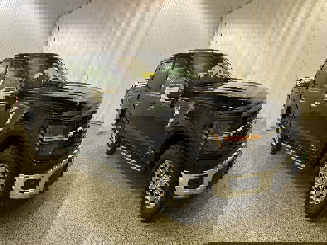 2025 Ford F-150 XLT's photo